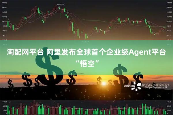 淘配网平台 阿里发布全球首个企业级Agent平台“悟空”