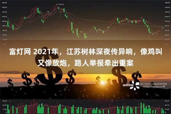 富灯网 2021年，江苏树林深夜传异响，像鸡叫又像放炮，路人举报牵出重案