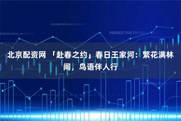 北京配资网 「赴春之约」春日王家河：繁花满林间，鸟语伴人行