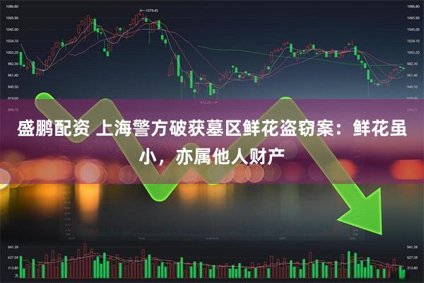 盛鹏配资 上海警方破获墓区鲜花盗窃案：鲜花虽小，亦属他人财产