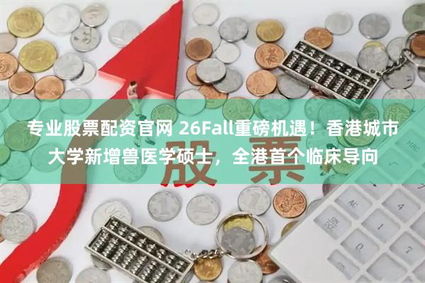 专业股票配资官网 26Fall重磅机遇！香港城市大学新增兽医学硕士，全港首个临床导向