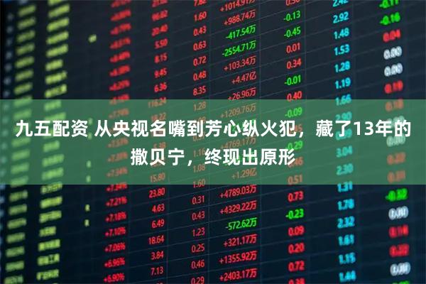 九五配资 从央视名嘴到芳心纵火犯，藏了13年的撒贝宁，终现出原形